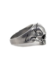 Jernhest - Rick Ring - Silver - Döskallering