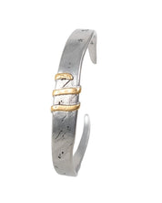 Jernhest - Flats Armband - Oxiderad Silver med Guld band