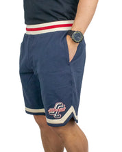 Santa Cruz - Shorts - Outer Baseball - Blå