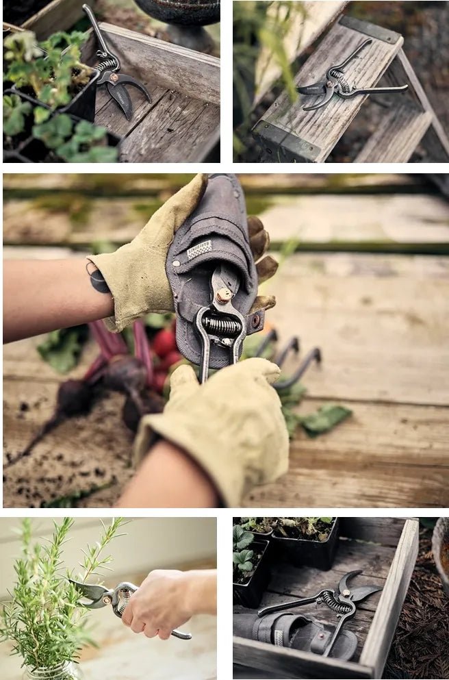 Barebones - Sekatör i metall med hållare - stål - jhstore.se