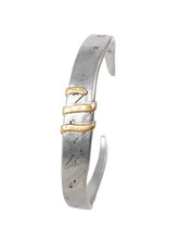 Jernhest - Flats Armband - Oxiderad Silver med Guld band - jhstore.se