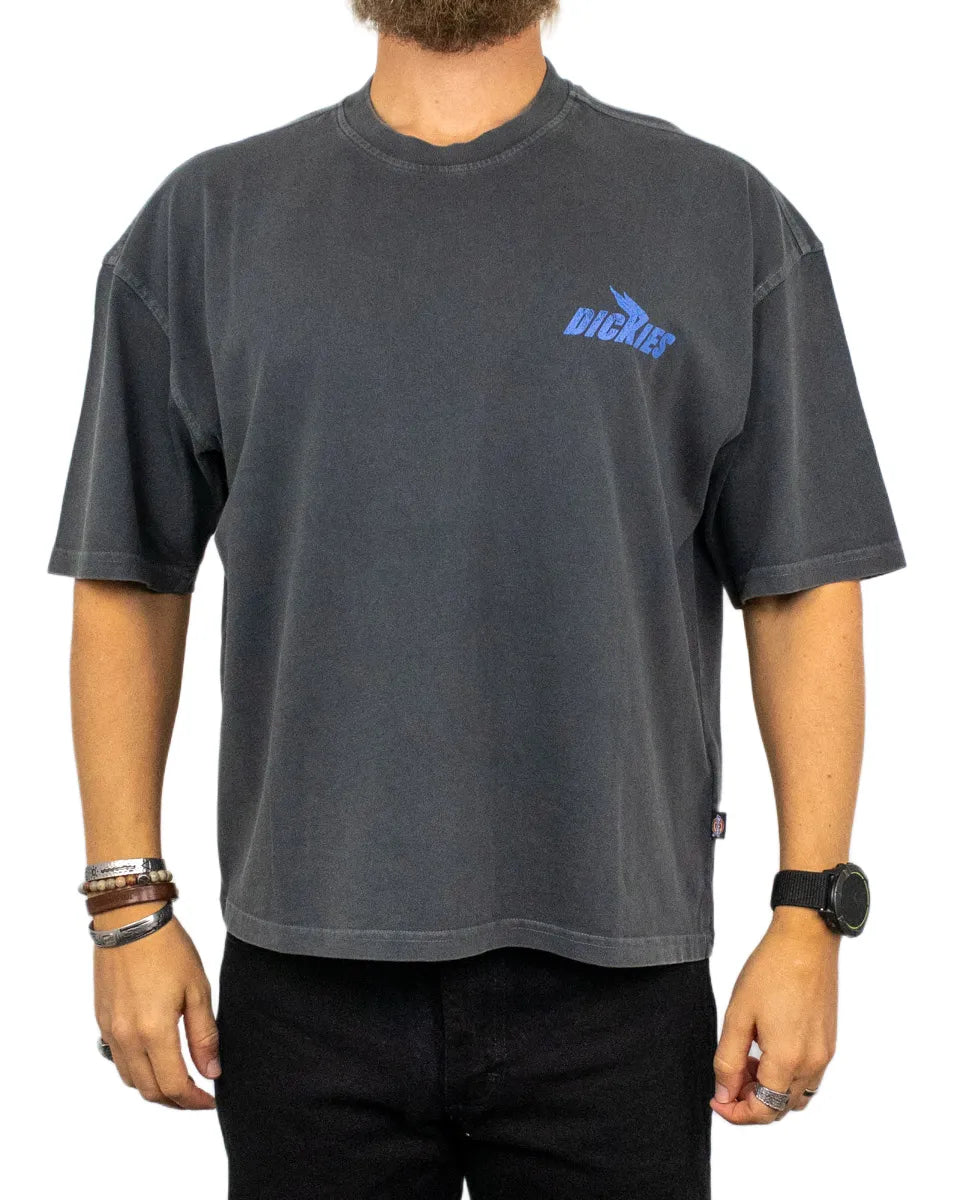 Dickies - T-shirt - Shonto - Svart