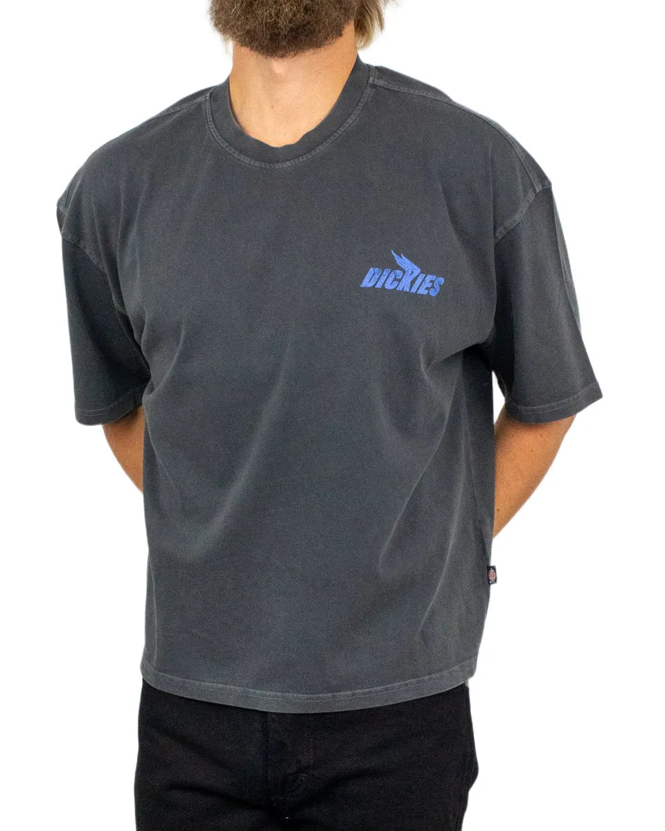 Dickies - T-shirt - Shonto - Svart