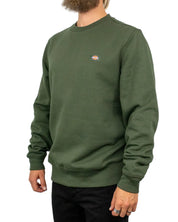 Dickies Oakport sweatshirt i olivgrön, snett framifrån