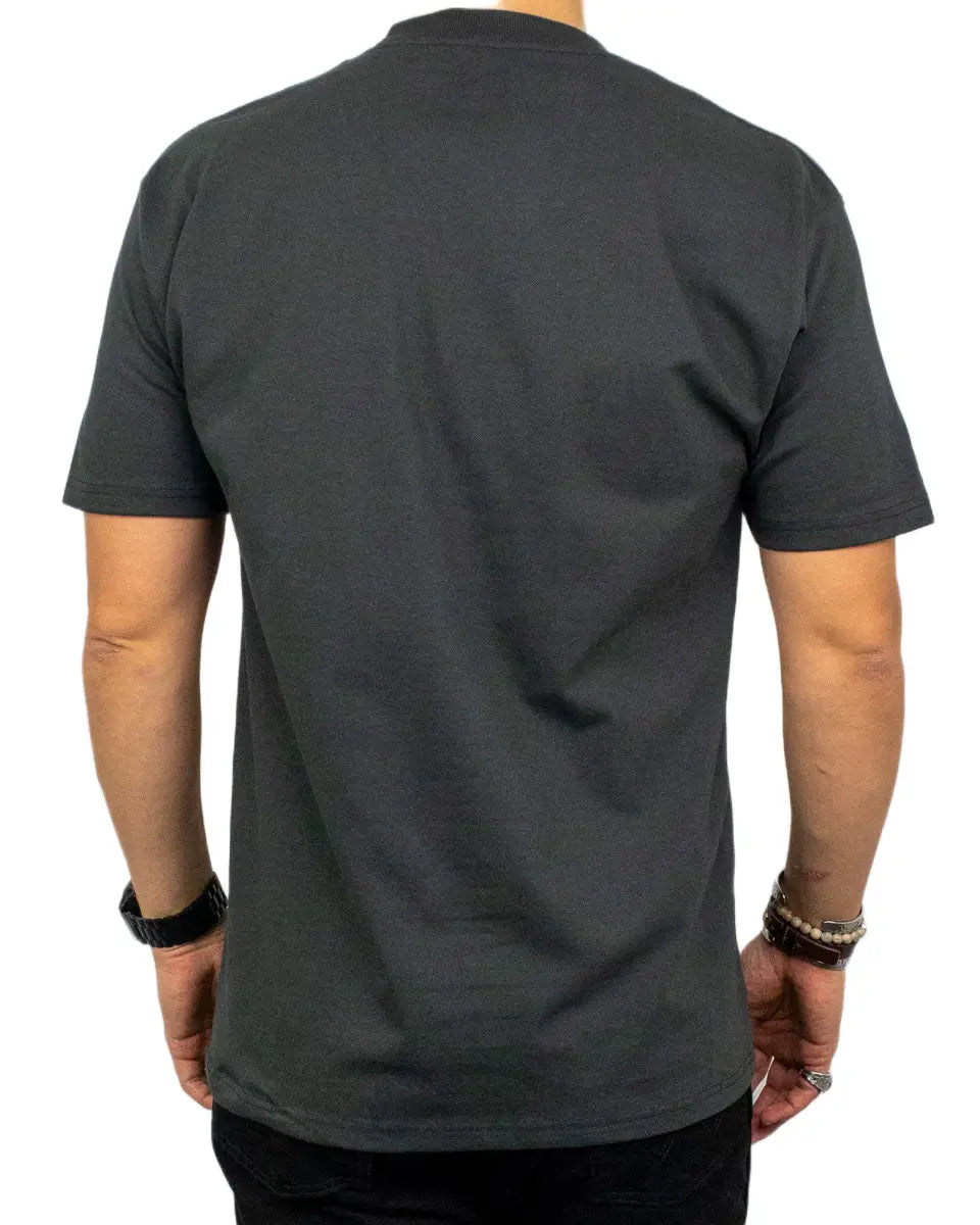 Vans Queens of the Stone Age Desert Sessions t-shirt i tvättad svart, ren rygg