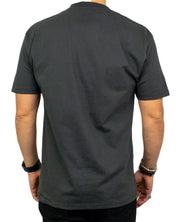Vans Queens of the Stone Age Desert Sessions t-shirt i tvättad svart, ren rygg