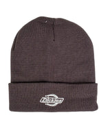 Dickies - Mössa - Summerdale - Brun
